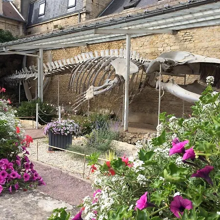 Les 7 Lutins - Maison Avec Jardin, Wifi, Parking Casa vacanze Luc-sur-Mer