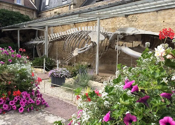 Les 7 Lutins - Maison Avec Jardin, Wifi, Parking Casa de Férias Luc-sur-Mer